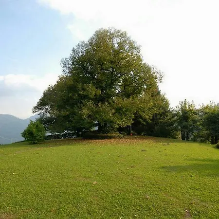 Il Castagno Castiglione dʼIntelvi